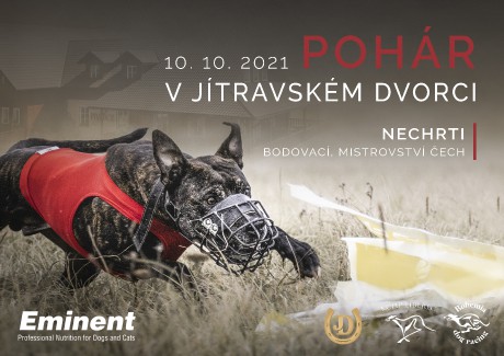 Nechrti kopie