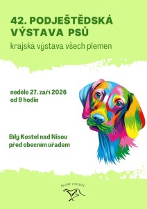 42_vystava.jpg
