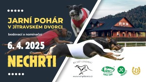 plakat-nechrti-4_2025.jpg